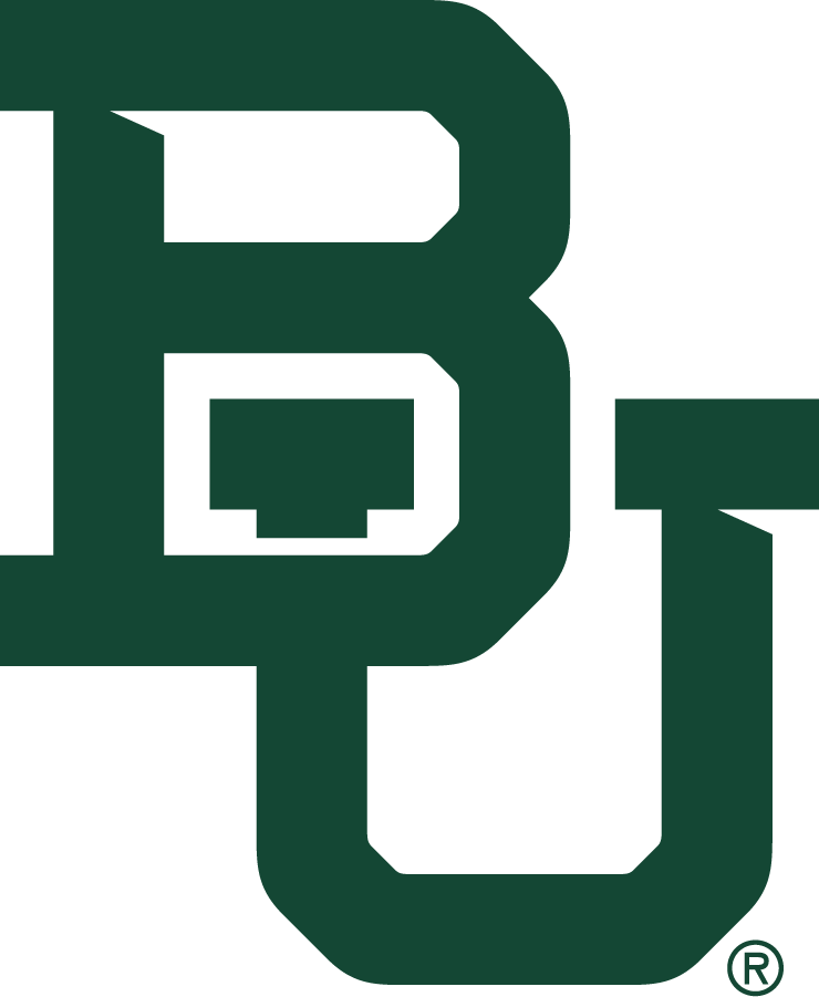 Baylor Bears 2019-Pres Primary Logo diy DTF decal sticker